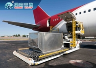 Международная дверь экспедитора товароотправителя перевозки авиационного груза к обслуживаниям двери от Китая к Бруней, Мьянме, Малайзии