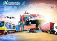 Экспедитор FBA Амазонки перевозки моря от Китая к США/Европе