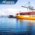 Международные обслуживания товароотправителя перевозки профессиональные LCL импорта экспорта FCL
