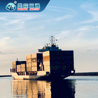 Товароотправитель перевозки Китай FCL LCL к Европе, международному грузовому транспорту DDU