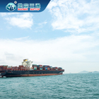 Китай к товароотправителю перевозки Амазонке доставки моря Австралии Dropship к Европе